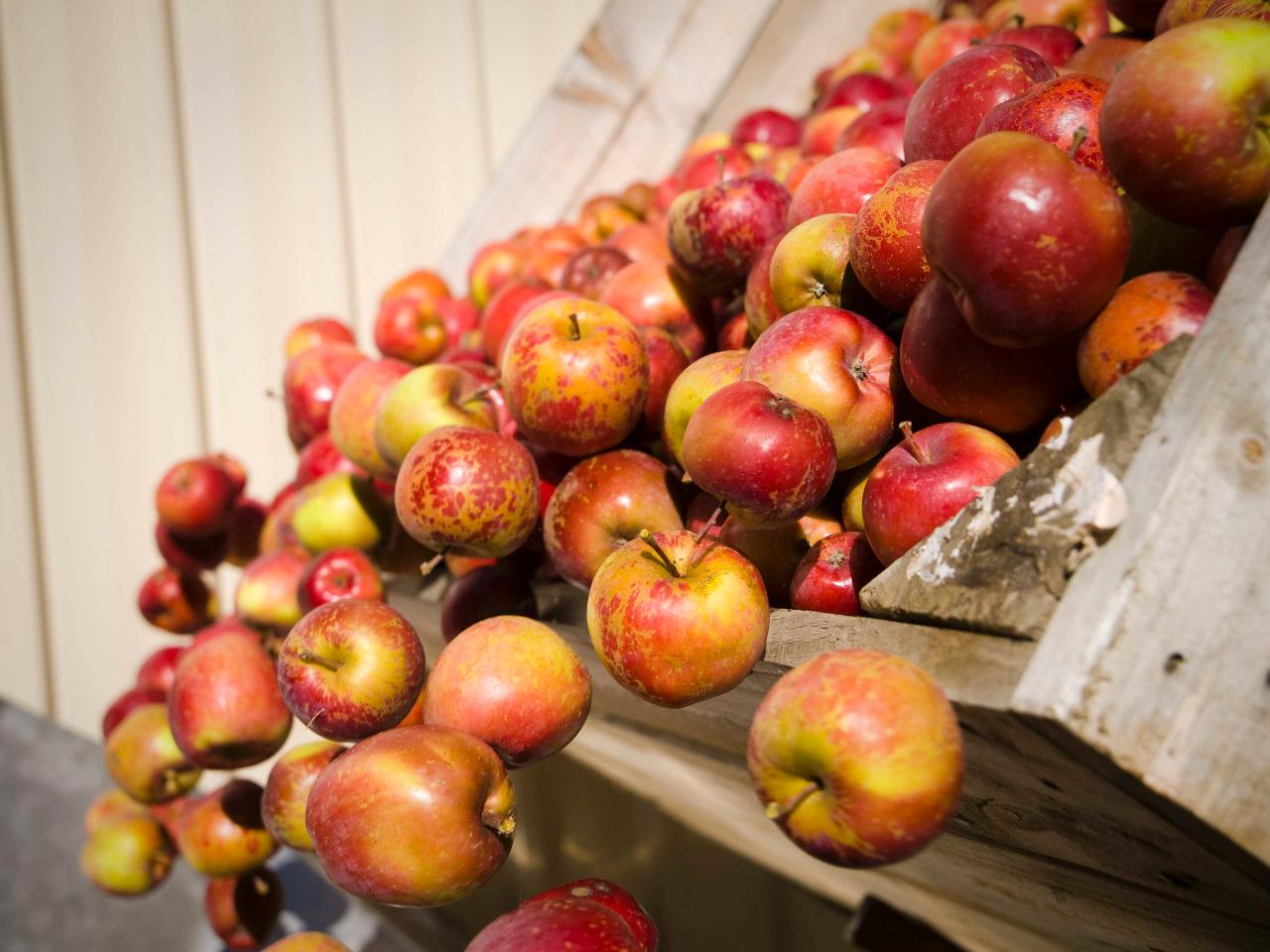 Huon Cider and Wine Experience